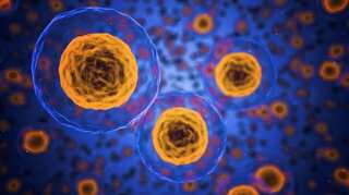 Scientists discover natural protein that stops allergies and autoimmune conditions