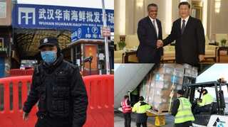 Virus origins remain unclear in WHO-China inquiry