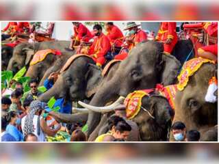 Thailand celebrates National Elephant Day
