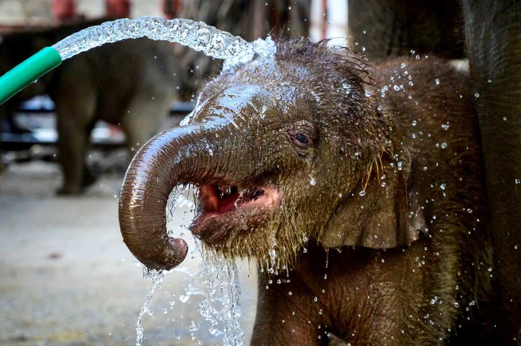 A quick shower