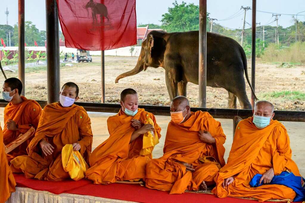 Chanting of mantras