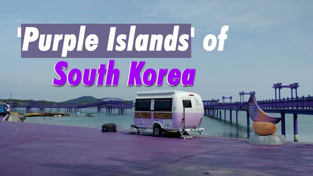 The tale of South Korea's 'Purple Islands'