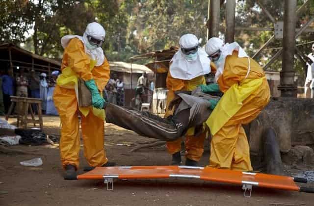 Ebola infects 30, kills 15 in Guinea, DRC Ebola infects 30, kills 15 in Guinea, DRC