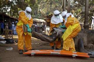 Ebola infects 30, kills 15 in Guinea, DRC