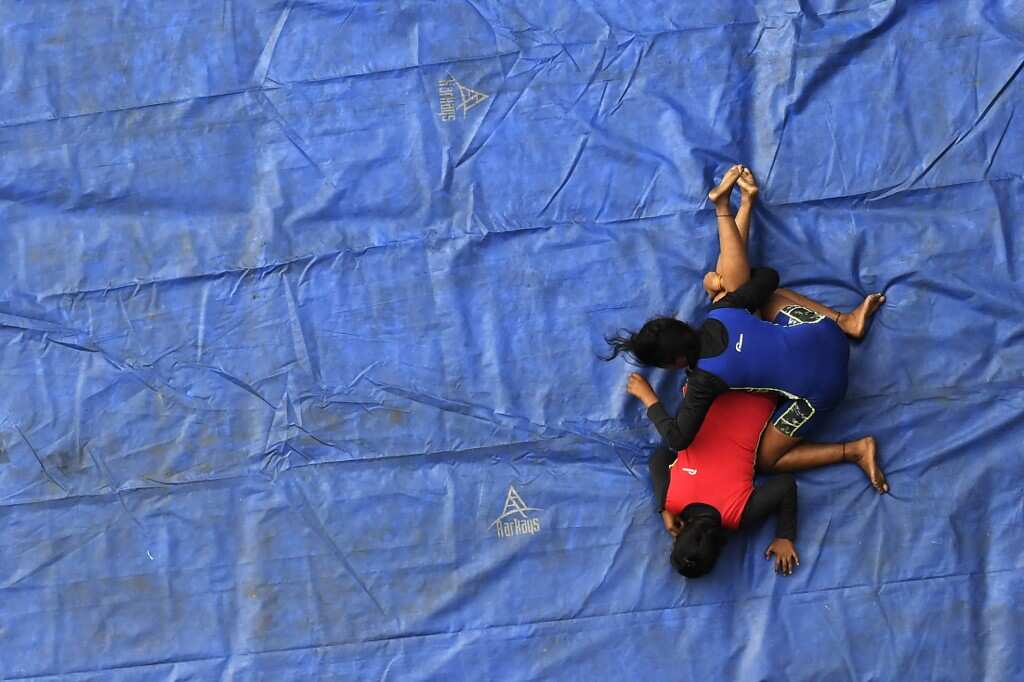 Cousin of Phogat sisters commits suicide after losing championship final by 1 point