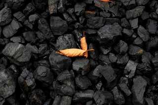 International Coal Miners Day 2022: A look at the black rock that changed our world