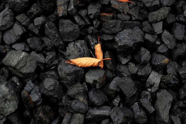 Team-building exercise of walking on burning coal sends people to hospital