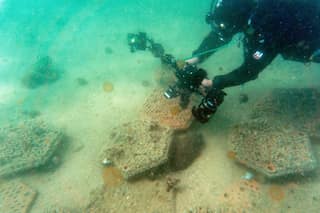 Scientists are boosting Hong Kong's fragile coral reefs by 3D printing