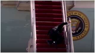 Joe Biden stumbles on the steps of Air Force One