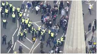 Anti-lockdown protesters scuffle with police in London