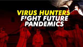 Philippines: 'Virus hunters' studying bats to prevent future pandemics