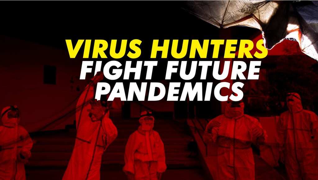 Philippines: 'Virus hunters' studying bats to prevent future pandemics