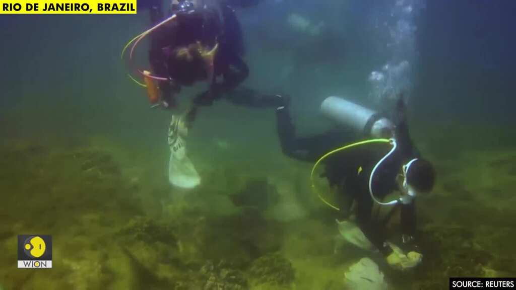 Drone and underwater video show how Rio's sea life is under threat as city encroaches on ocean