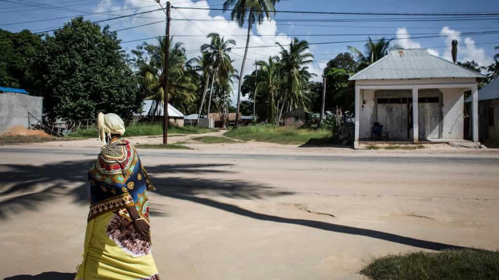 Mozambique army says town attacked by insurgents is now secure