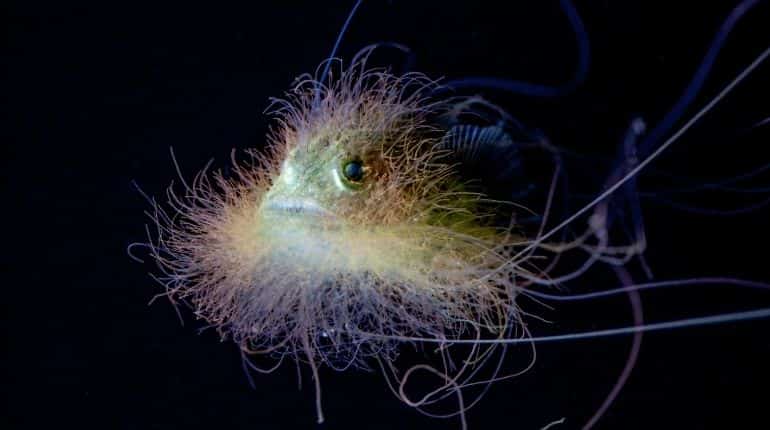 The ocean’s youngest monsters are ready for glamour shots The ocean’s youngest monsters are ready for glamour shots