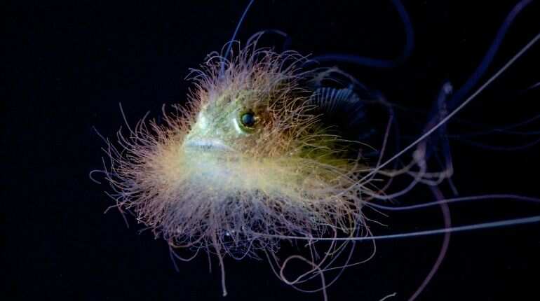 The ocean’s youngest monsters are ready for glamour shots