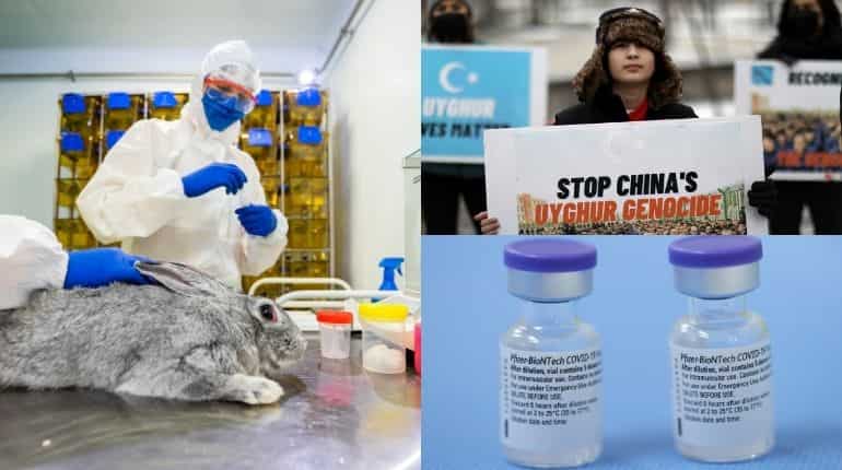 Top 10 world news today: US human rights report lambasts China over Uighur atrocities and more