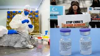 Top 10 world news today: US human rights report lambasts China over Uighur atrocities and more