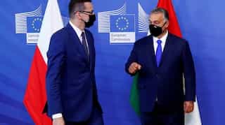 As European right re-emerges, what are the ambitions now?