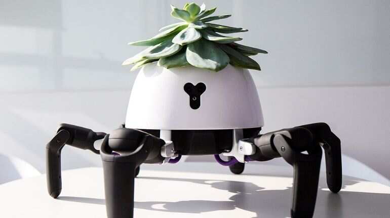 Scientists fuse nature with tech as 'robo-plants' surge Scientists fuse nature with tech as 'robo-plants' surge