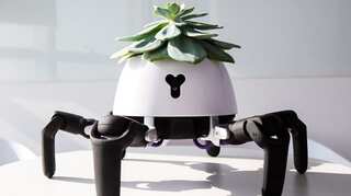Scientists fuse nature with tech as 'robo-plants' surge