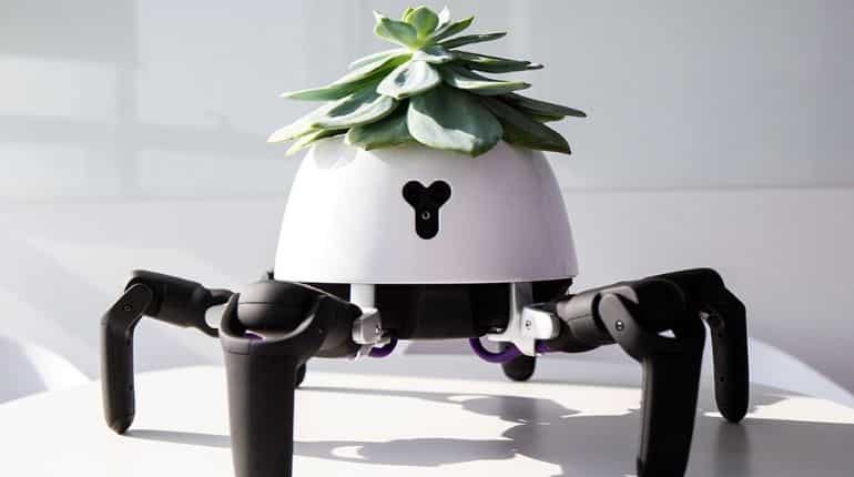 Scientists fuse nature with tech as 'robo-plants' surge