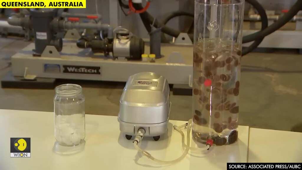 Lab grown superbug to treat sewage water in Australia
