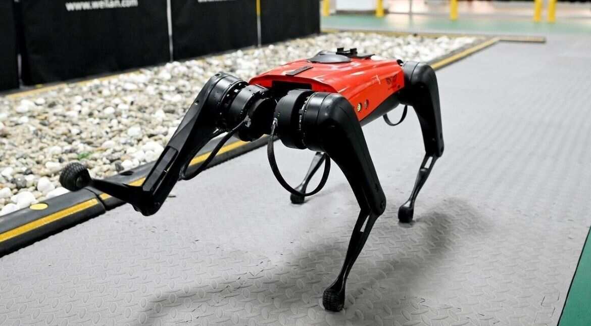 The ulti-mutt pet? Chinese tech company develops robo-dogs The ulti-mutt pet? Chinese tech company develops robo-dogs
