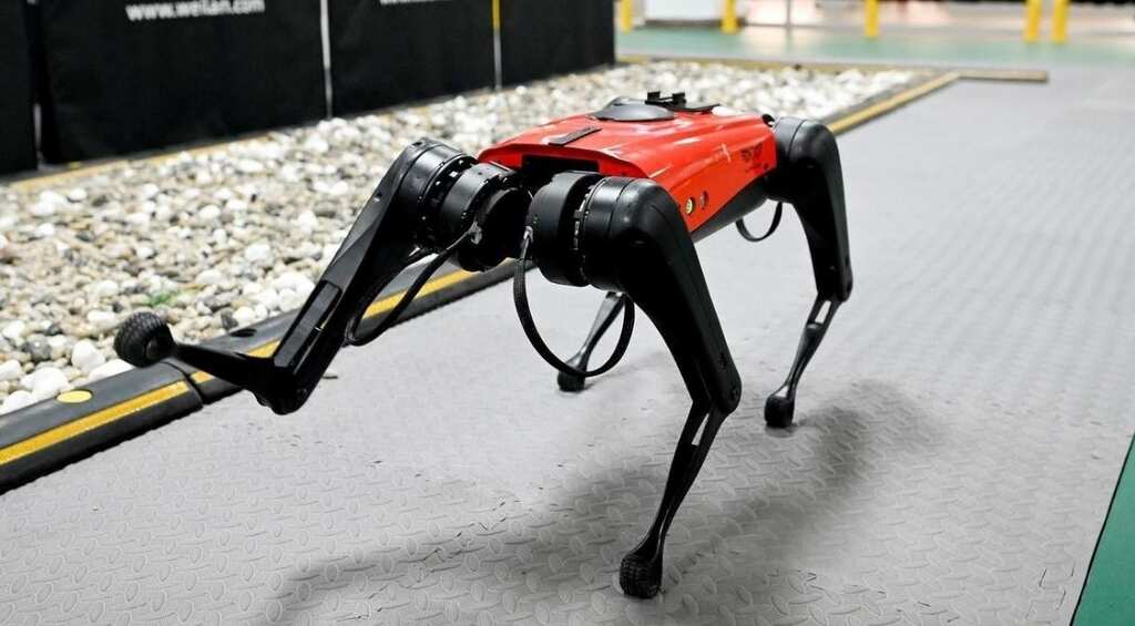 The ulti-mutt pet? Chinese tech company develops robo-dogs