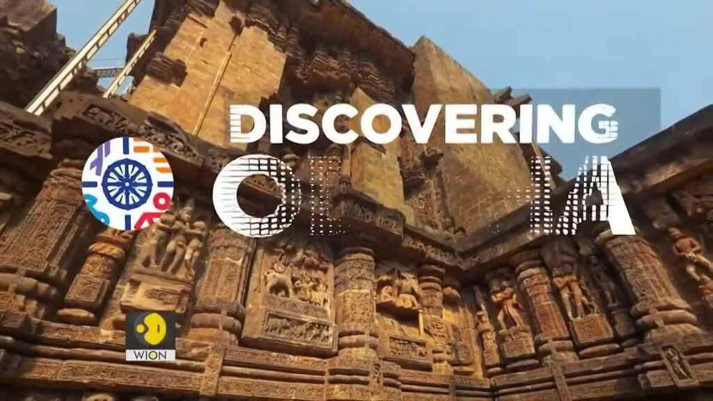 Discovering Odisha: A haven for wildlife and ecotourism