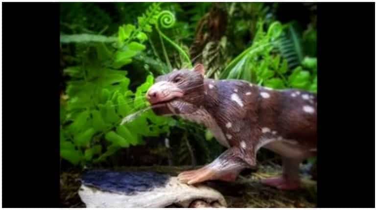 Researchers find 74-million-year-old mammal which lived alongside dinosaurs