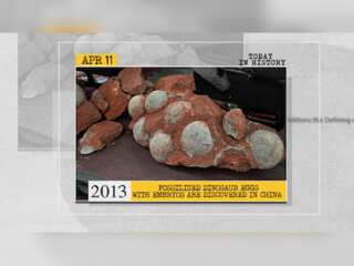 April 11 in history: Fossilized dinosaur eggs with embryos discovered in China