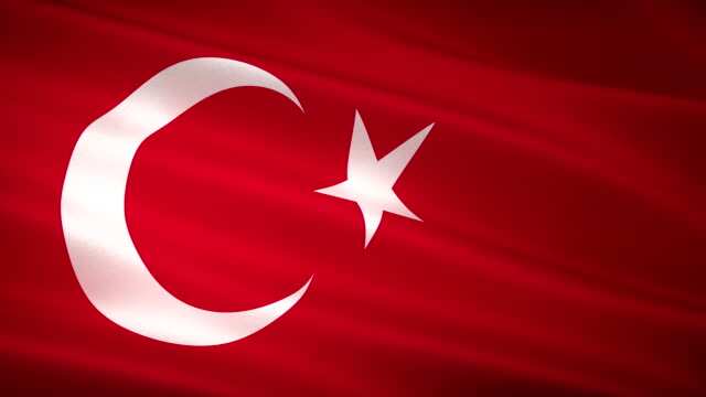 Russia-Ukraine Tensions: Turkey calls for peaceful resolution over Donbass