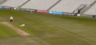Watch: India's Hanuma Vihari takes stunning catch for Warwickshire in County Championship