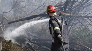 Firefighters contain windswept blaze on Table Mountain in South Africa 