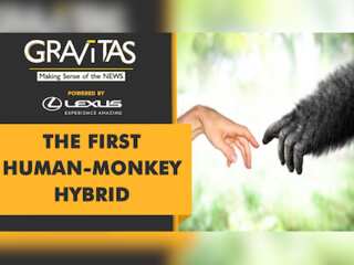 Gravitas: Scientists inject human cells into Monkey's embryo
