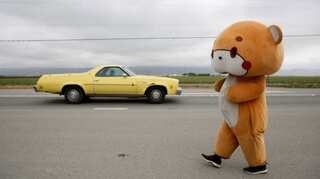 Los Angeles man wearing bear suit hits highway to San Francisco
