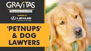 Gravitas: Spain to approve joint custody of pets