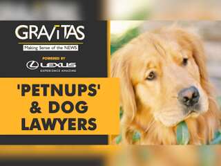 Gravitas: Spain to approve joint custody of pets