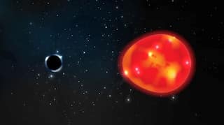 Astronomers discover Milky Way galaxy's smallest black hole dubbed 'Unicorn'