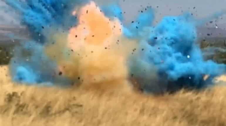 Gender reveal party explosions set off reports of an earthquake Gender reveal party explosions set off reports of an earthquake