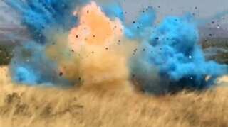 Gender reveal party explosions set off reports of an earthquake