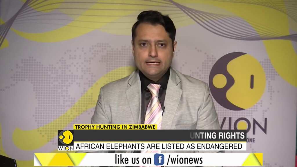 Zimbabwe to sell elephant hunting rights for endangered elephants
