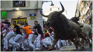 Spain's famous Pamplona bull-run cancelled for second year due to pandemic