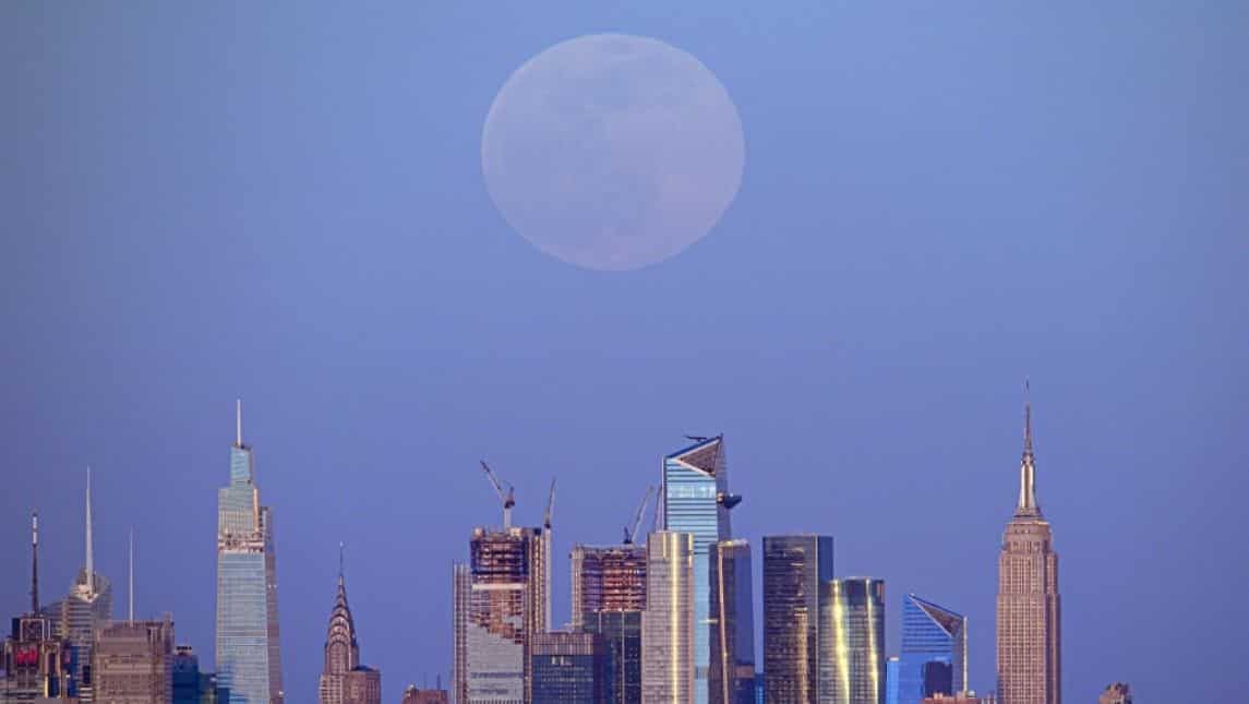 Lanternfly poses threat after being spotted in the Central Park in NYC
