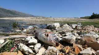 Tonnes of dead fish wash up on shore of polluted Lebanese lake