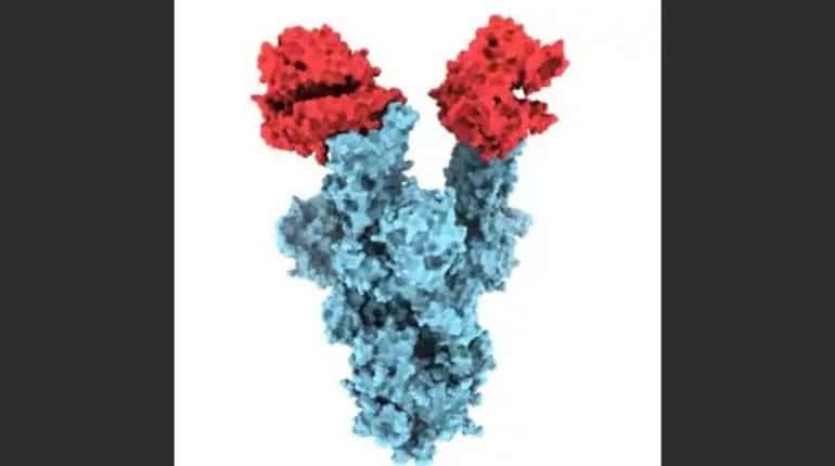 UK variant: First images of B.1.1.7 coronavirus mutation