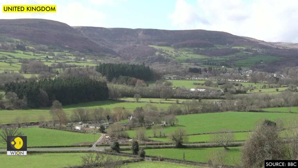 Healthcare workers in Wales plant trees to offset COVID's carbon impact
