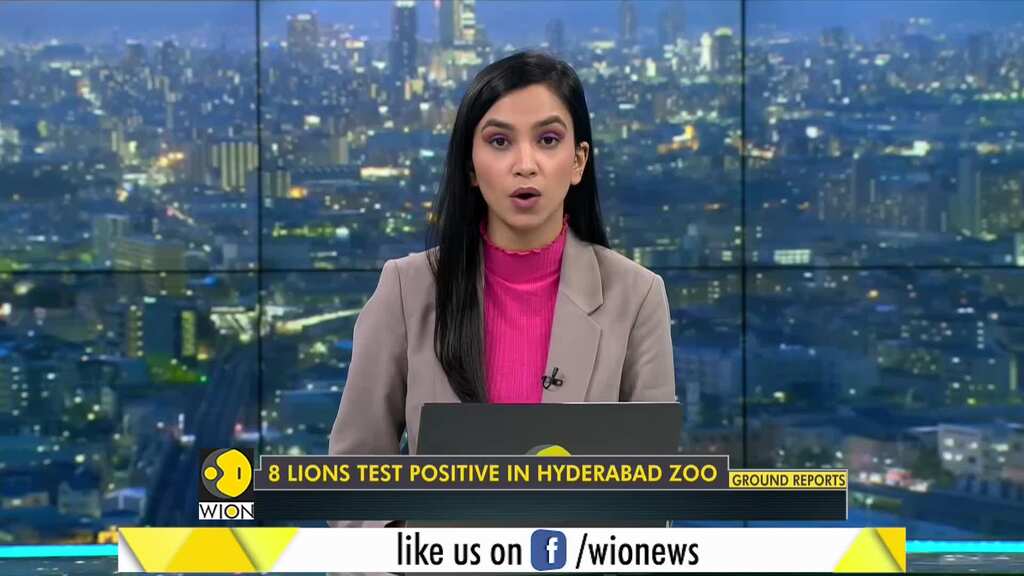 In a first in India, 8 Asiatic lions test positive for COVID-19 in Hyderabad zoo