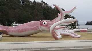 Japanese town faces flak for spending Covid funds on huge squid statue 